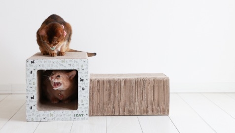 私たちは商品だけでなく、情緒価値を創造する企業です。